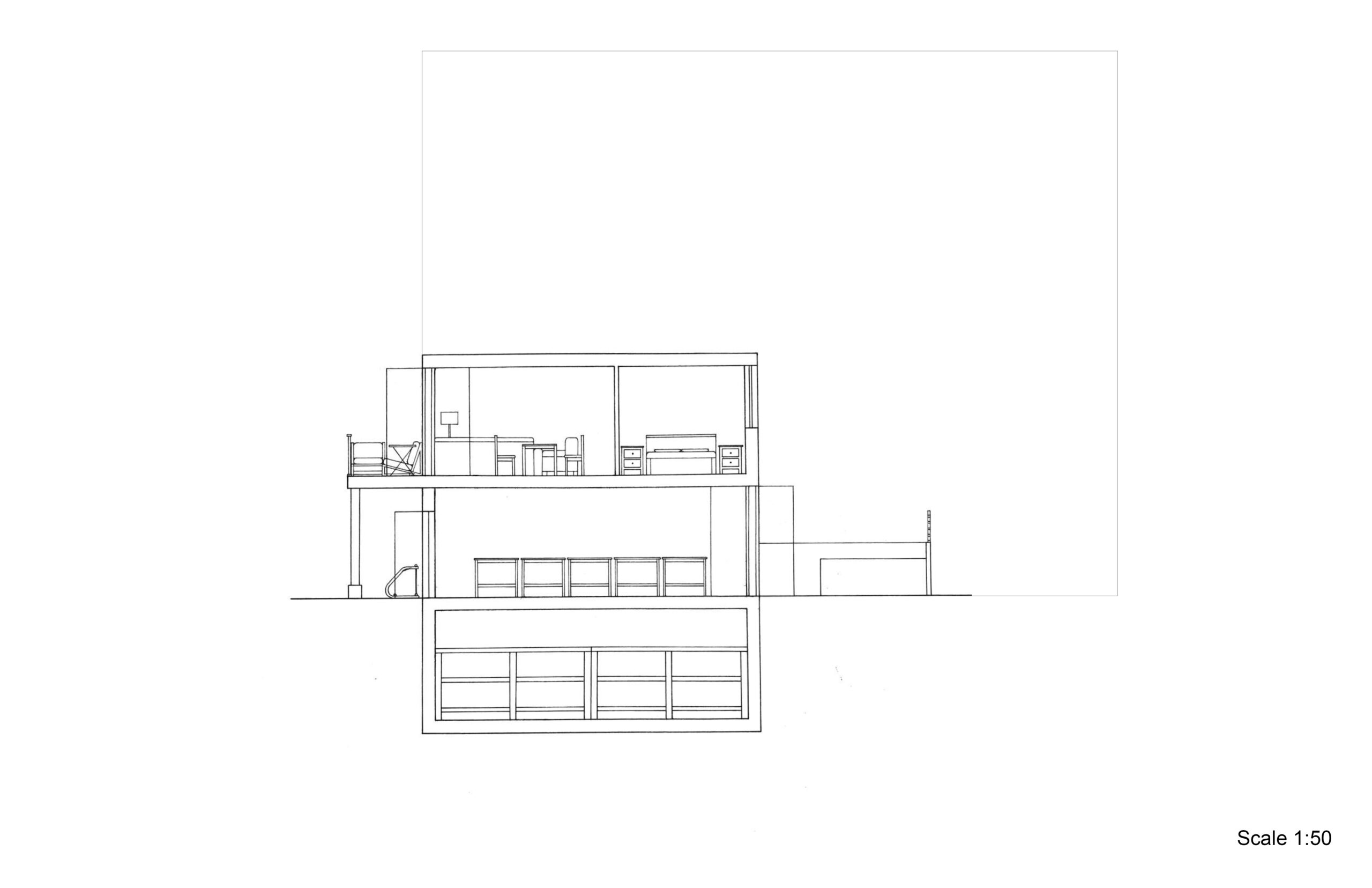 Longitudinal Section